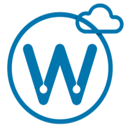 wiseoption.com icon