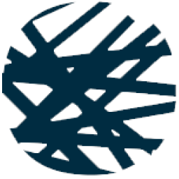 wisethorough.com icon