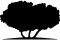 wish.org.qa icon