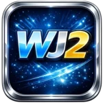 wj2sky.com icon