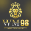wm98.biz icon