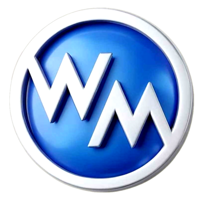 wmtindia.in icon