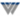 wng.com icon