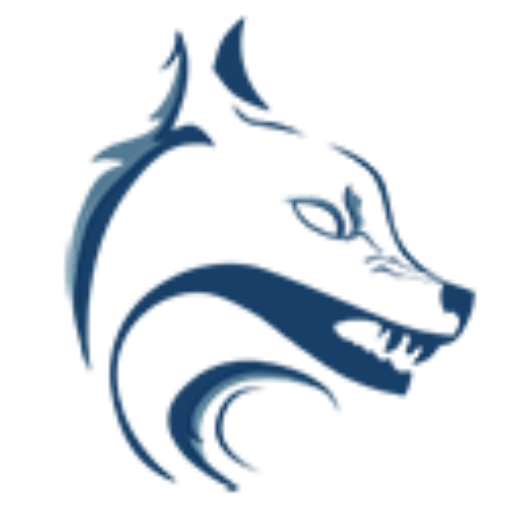 wolf-of-seo.de icon