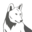 wolf-vt.de icon