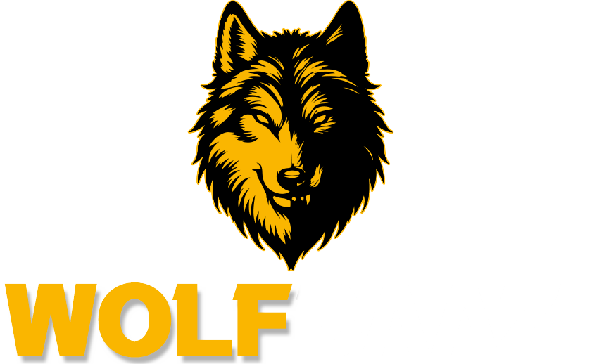 wolfbazi.com icon