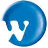 wolfram-consult.com icon