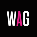 wollongongartgallery.au icon