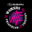 womenstriathlonfestival.ca icon