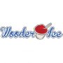 wooderice.com icon