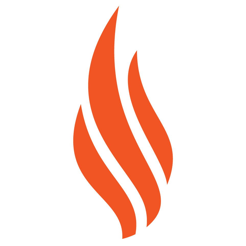 wordonfire.institute icon