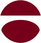 worldbridgepartners.com icon