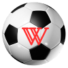 worldcupwiki.com icon