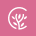 wpcoachify.com icon