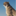 wpfastestcache.com icon