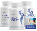 ws-aquasculpt.com icon