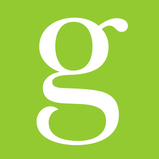 wsg.net icon