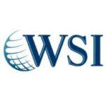 wsiconecta.com icon