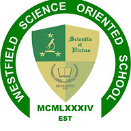 wsos.edu.ph logo