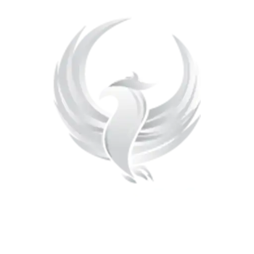 wsoth4.com icon