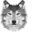 wtn.market icon