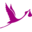 Wunschkind Klinik Dr Brunbauer logo