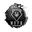 wvphvs.com icon