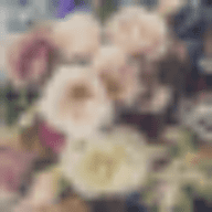 wvweddingsmagazine.com icon