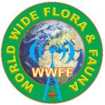 wwff.co logo