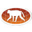 wwprimates.com icon