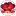 www-avalansh.ru icon
