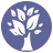 Domain Favicon