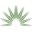 Bank of South Texas - eCorp