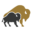 Buffalo Metropolitan Credit Union APIs