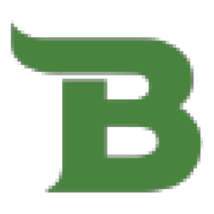 Bison State Bank