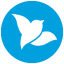 Bluebird favicon