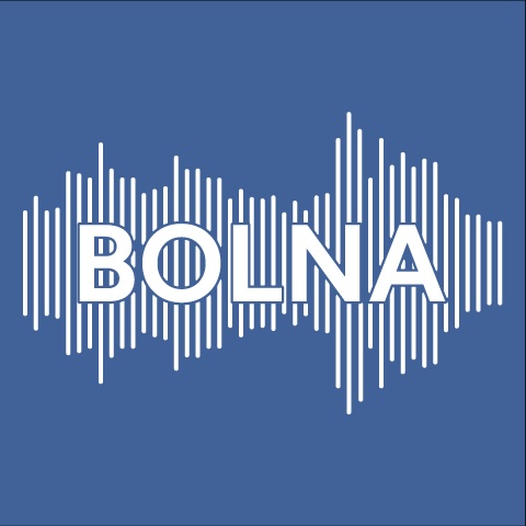 www.bolna.ai favicon
