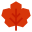 Domain Favicon