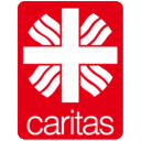 Domain Favicon