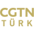 Domain Favicon