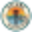 Domain Favicon
