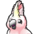 Cockatoo icon