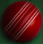 Cricket Coach Game
