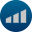 Domain Favicon