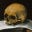 Icon for www.deadlanguagesociety.com