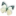 Domain Favicon