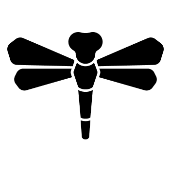 www.dragonflydb.io