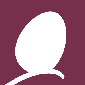 www.getlektor.com