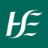 Domain Favicon