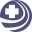 Domain Favicon